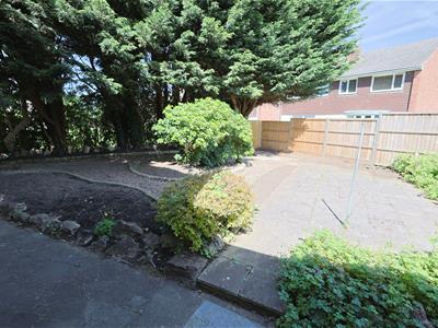 Picture 25